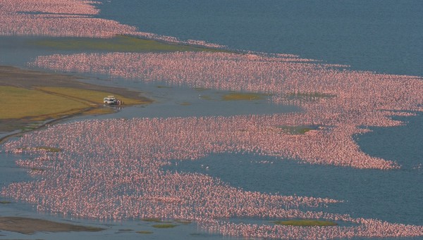 Lago Nakuru